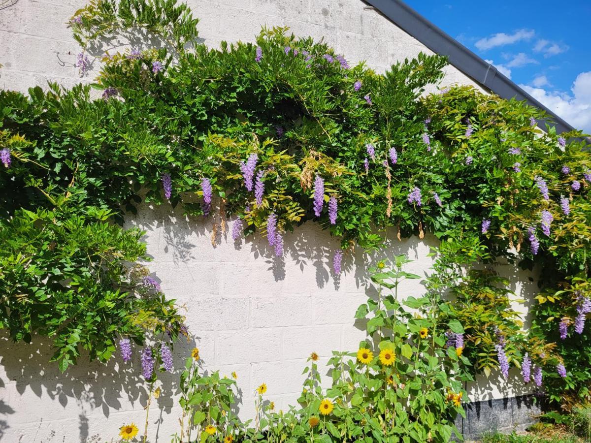 Heerlijk Appartement 'La Bienvenue' In Venlo, Limburg Bagian luar foto